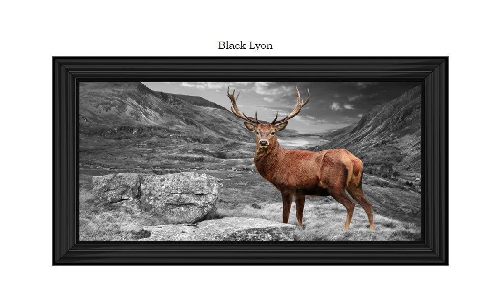 Stag- Liquid art