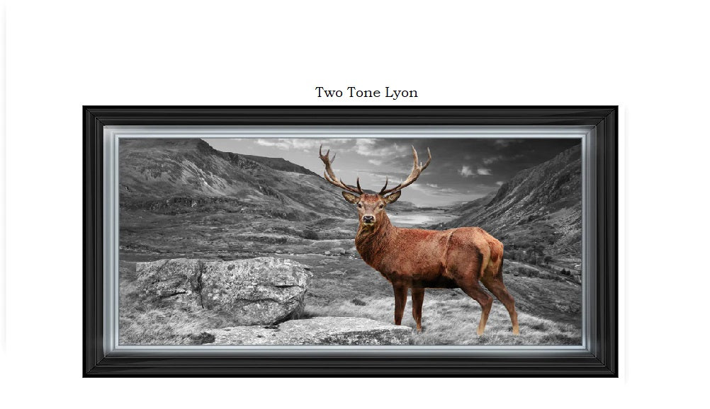Stag- Liquid art