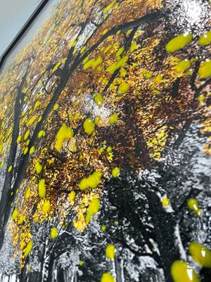Yellow tree- Over-varnish