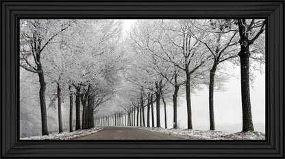 Trees in winter Road - Liquid art