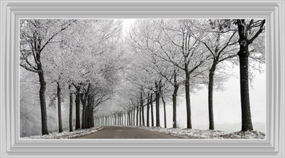 Trees in winter Road - Liquid art
